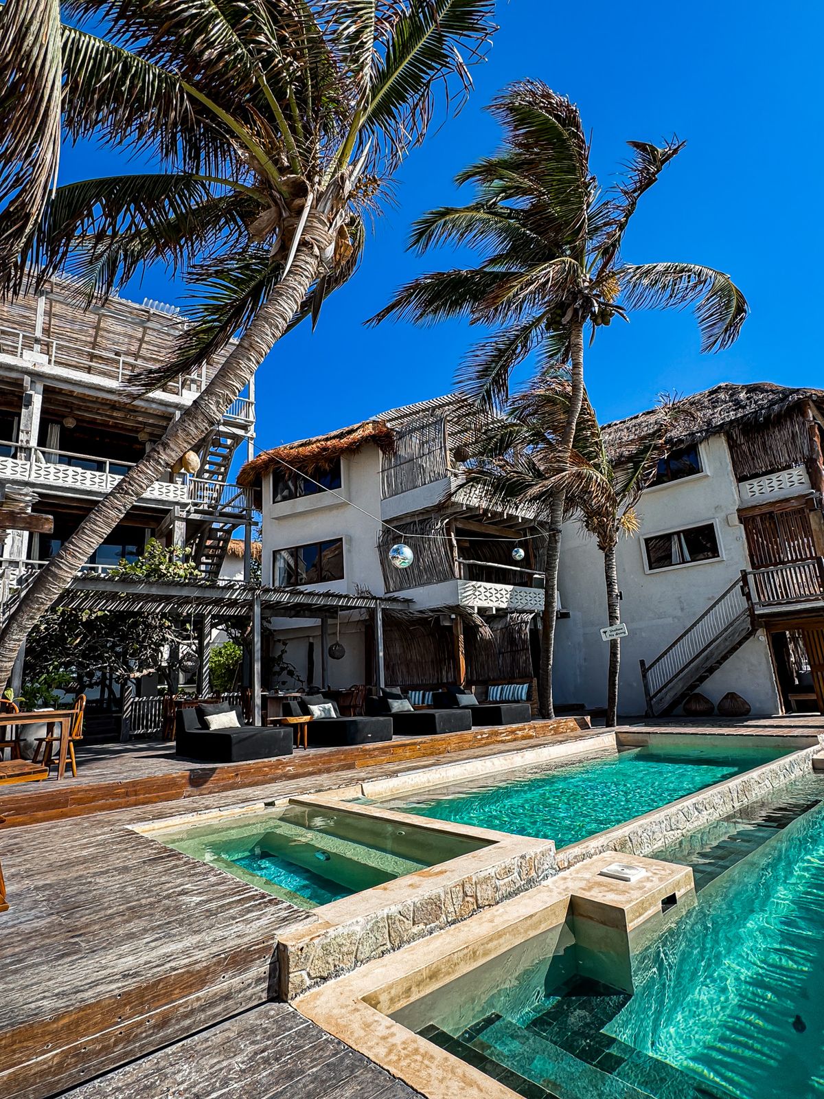 Beachfront pools and palms