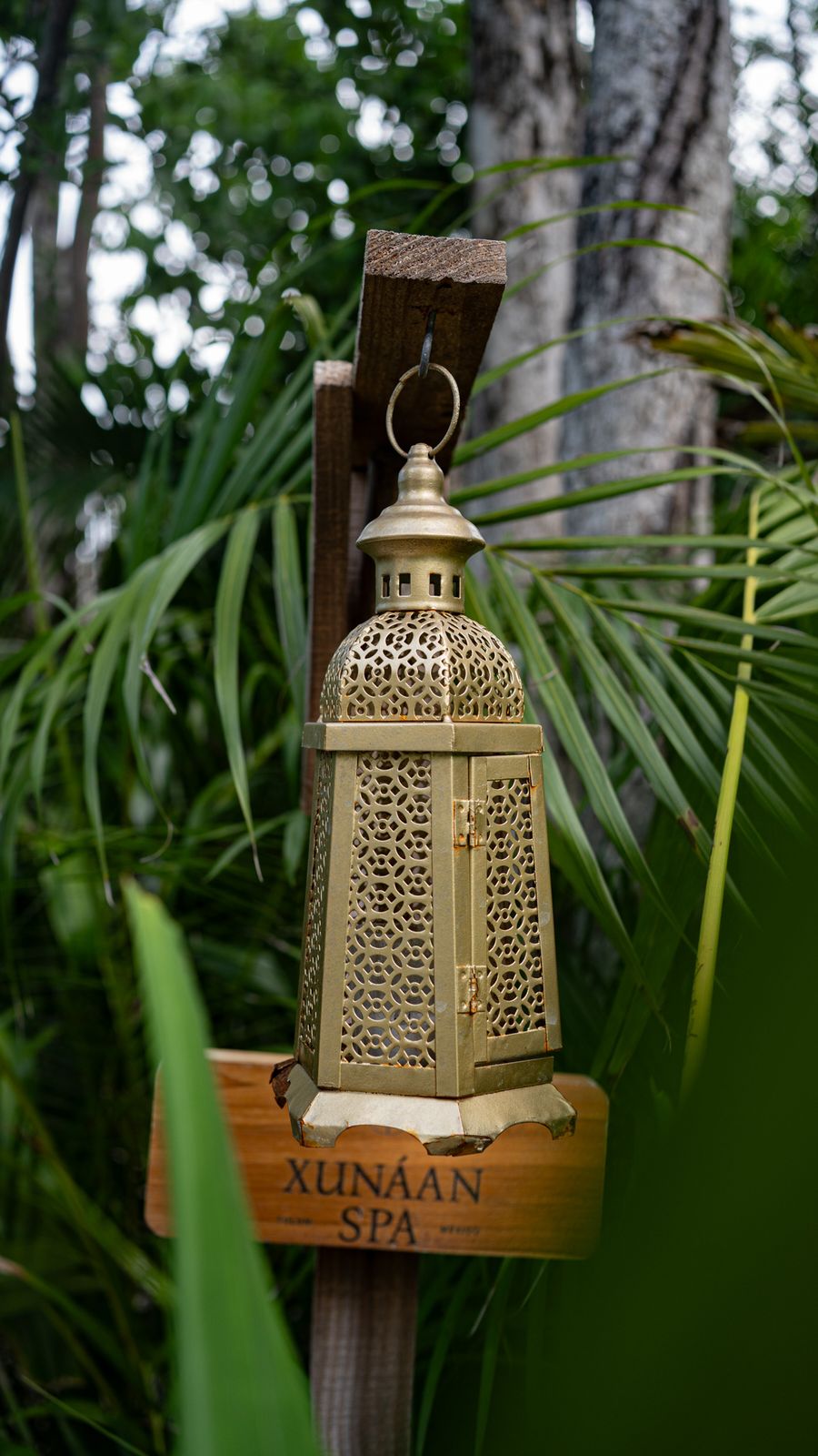 Spa lantern in the jungle